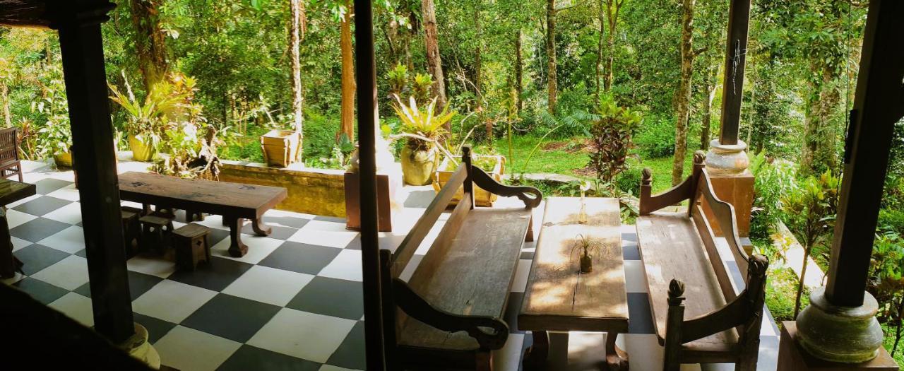 Happy Ria Homestay & Guesthouse بوكيت لاوانج المظهر الخارجي الصورة