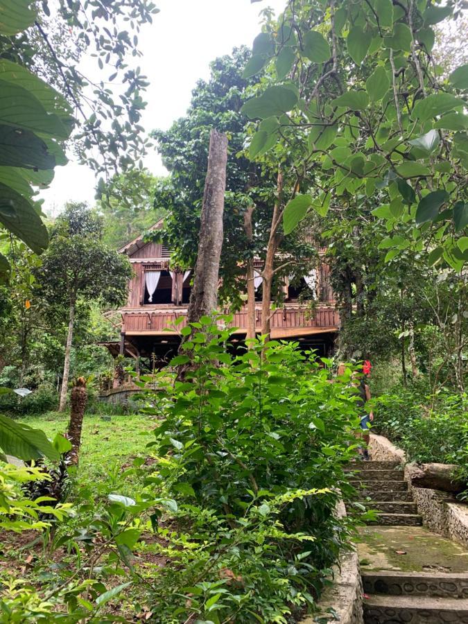 Happy Ria Homestay & Guesthouse بوكيت لاوانج المظهر الخارجي الصورة